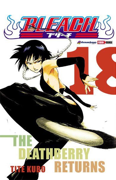 Bleach 18